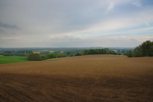 Free Field Landscape photo and picture