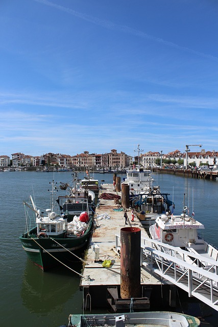 Free Saint Jean De Luz Port photo and picture