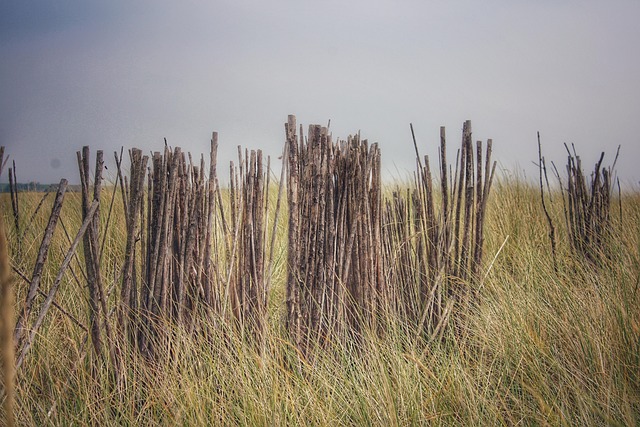 Texel, Naturaleza, Sucursales