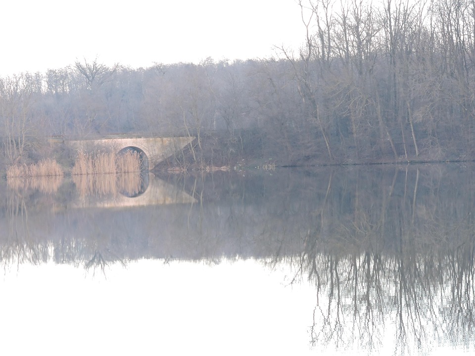 Nature Bridge Landscape - Free photo on Pixabay - Pixabay