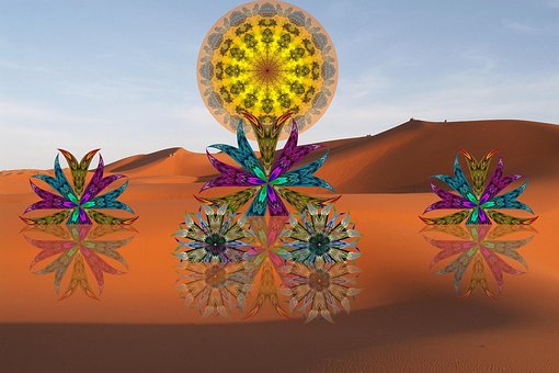 Free Mandala Mandalas photo and picture