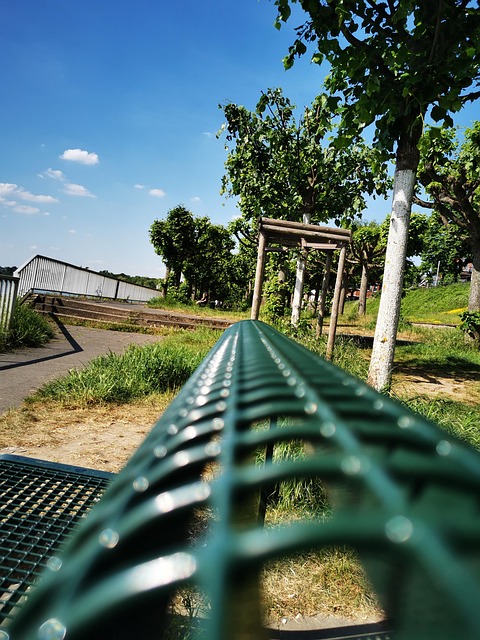 Vară, Soare, Parc, Peisaj, Bancă, Verde