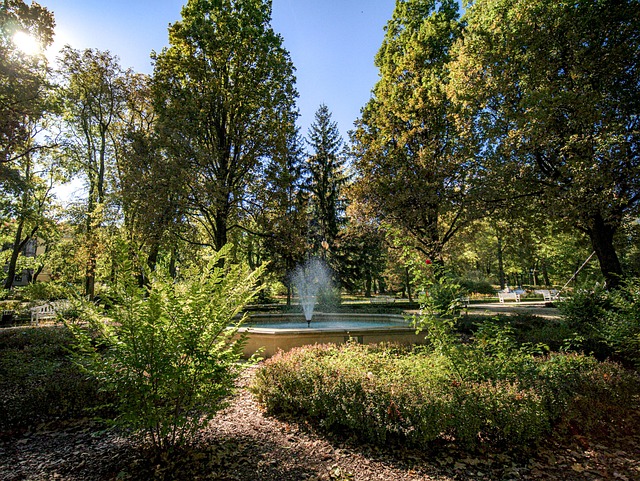 Park, Příroda, Flóra, Kašna, Podzim