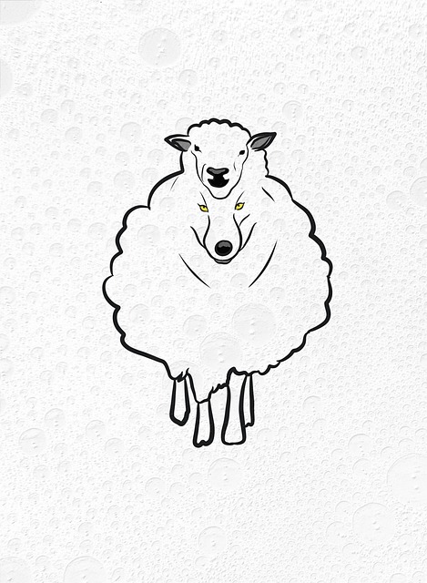 Free wolf with goat's skin wolf danger illustration