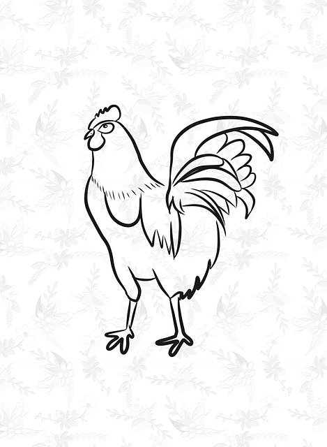 Free rooster poultry farm illustration