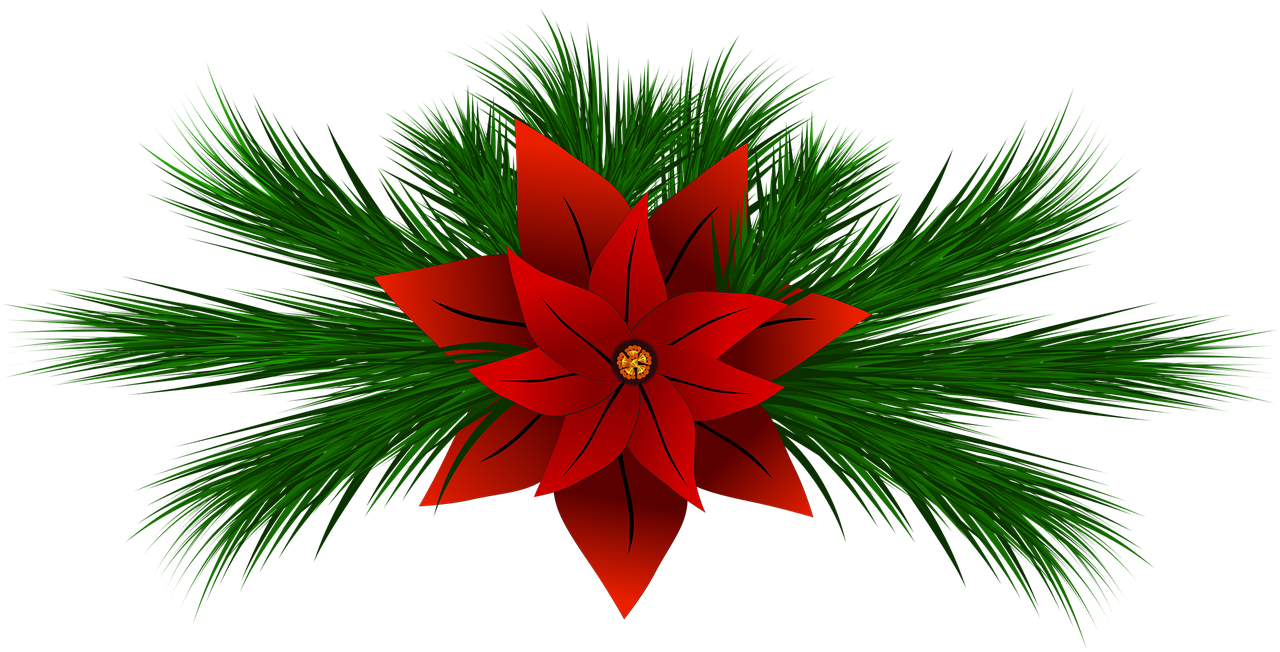 Sweatshirt "Feliz Navidad" Avec Motif Poinsettia Rétro - Pour Noël, Coupe Classique, Col Rond, 241g