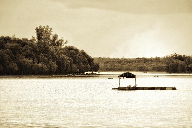 lake, river, floating house, lonely, nature, cold, horror, dark, ancient, old