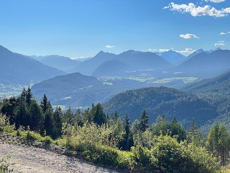 Free Forest Nature photo and picture