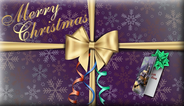 Free festive season nature christmas cracker illustration