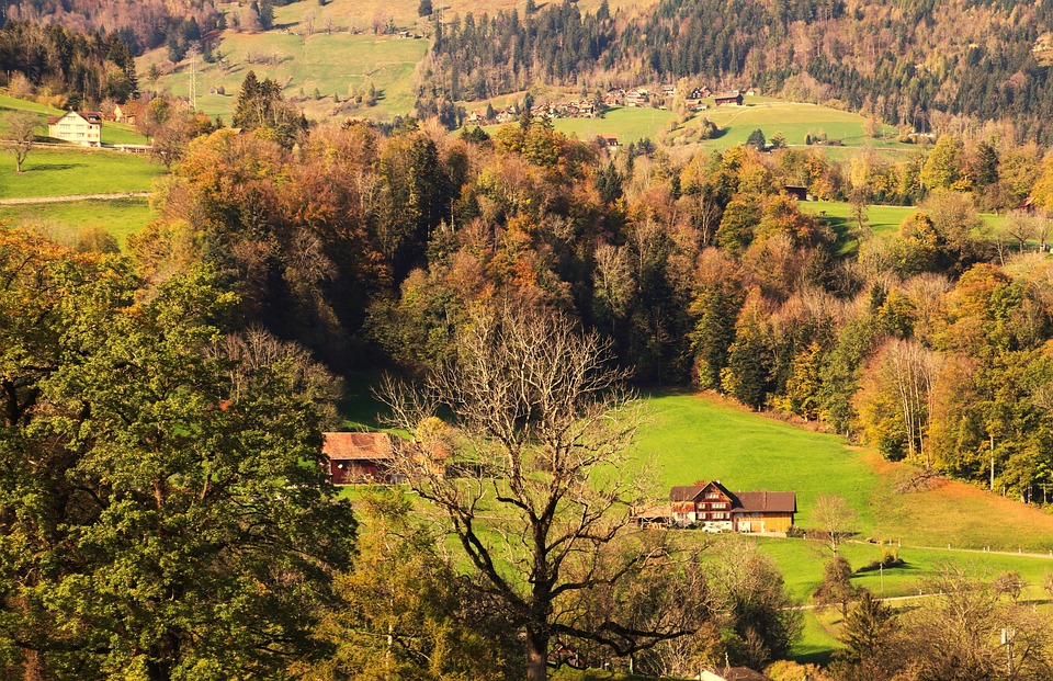 Hilly Rural Hill Wooded Rural - Free photo on Pixabay - Pixabay