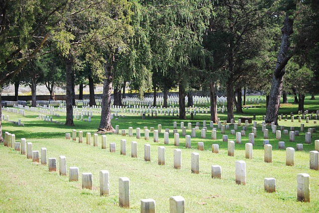 Free war grave cemetery memorial illustration