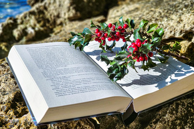 Книжный фестиваль в Белен возвращается с данью памяти Лобу Антунишу и концертом группы GNR