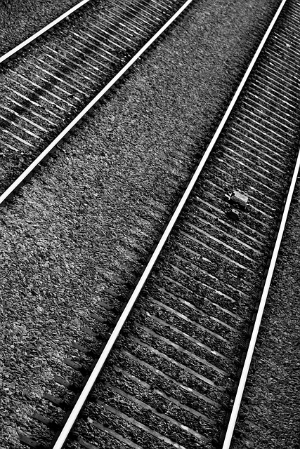 Free Track Railway photo and picture