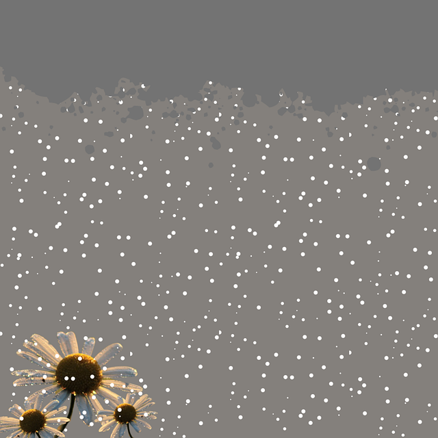 Free background nature margaritas illustration