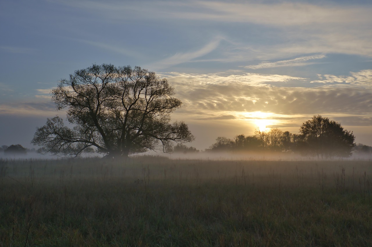 Matin Lever Du Soleil Brouillard Photo Gratuite Sur Pixabay Pixabay