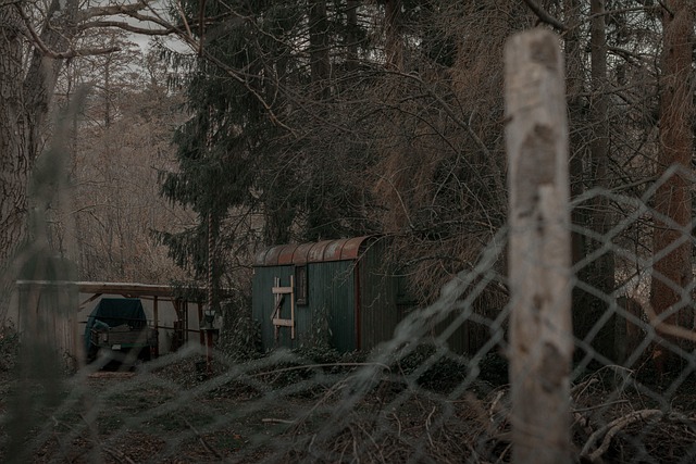 cabin, forest, lonely, wood, farmer, woodland, nature