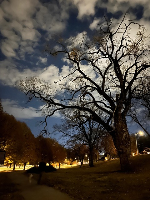 Free Night Nighttime photo and picture