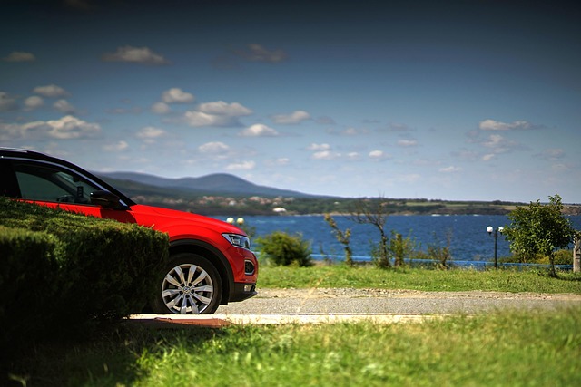 Free Volkswagen Vw photo and picture