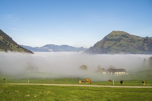 Nebelmeer, Gårdens Gård, Skinne Igennem