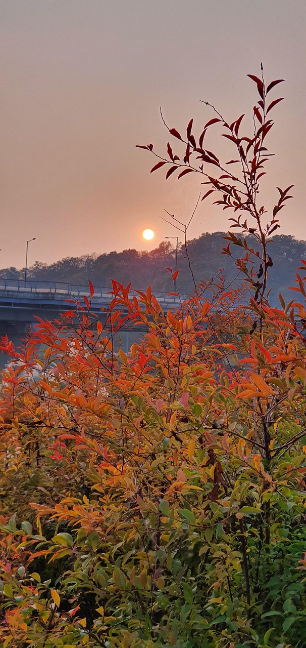 Puesta Del Sol Finales De Otoño - Foto gratis en Pixabay - Pixabay