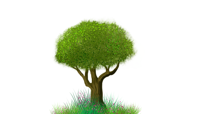 Baum, Stamm, Geäst, Isoliert, Natur