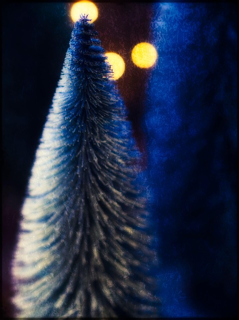 Jul, Advent, Dekoration, Vinter