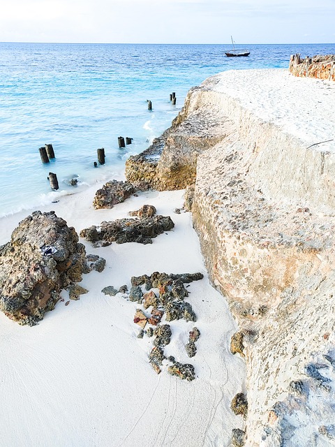 Free Sea Sand photo and picture