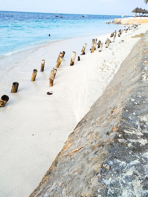 Free Sea Sand photo and picture