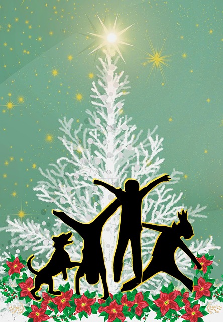 Free Christmas Holiday photo and picture