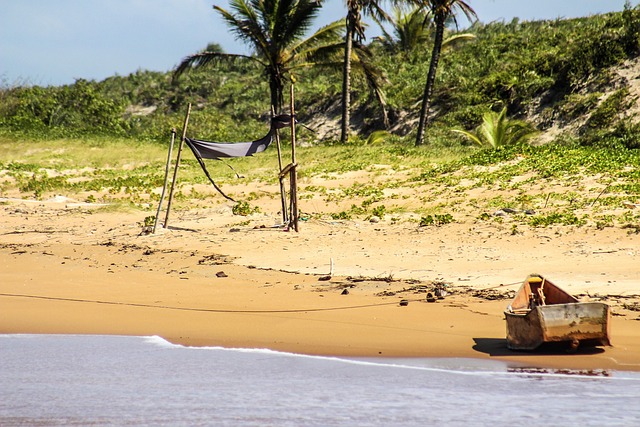 Free Beach Sea photo and picture