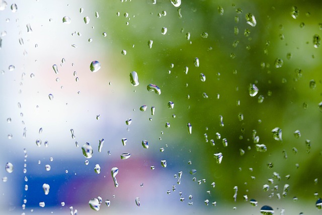 Chuva, País, Fundo, Sonhe, Árvore