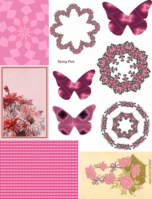 Free Collage Bloom photo and picture