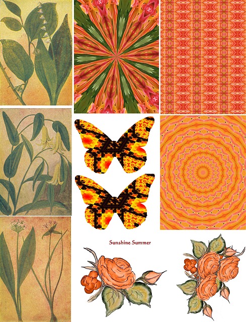 Free Collage Flower photo and picture