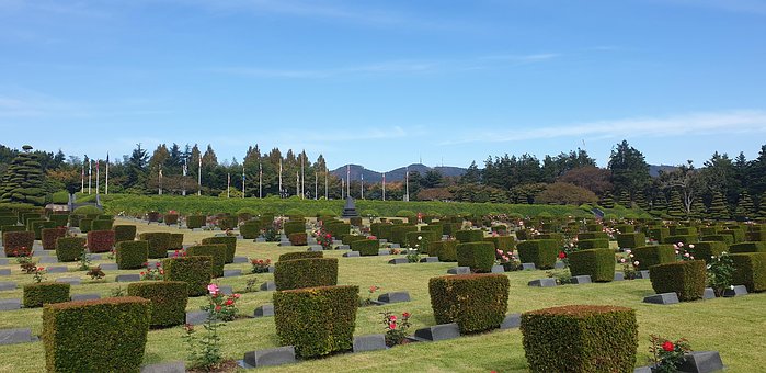 Remembranza, Cementerio, Busan
