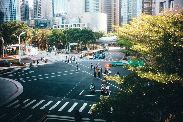 Free Traffic Light Traffic Flow photo and picture