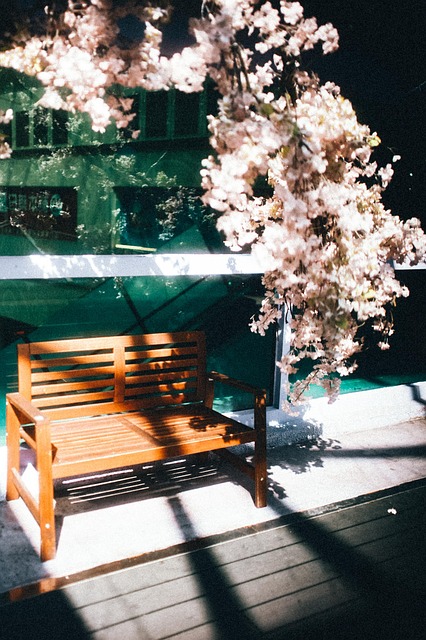 Free Spring Light And Shadow photo and picture