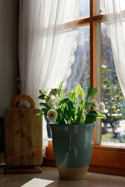 Free Window Window Sill photo and picture