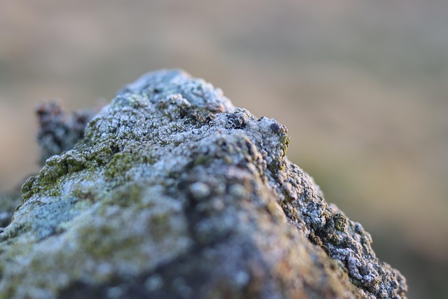 Felsen, Gehen, Landschaft, Natur