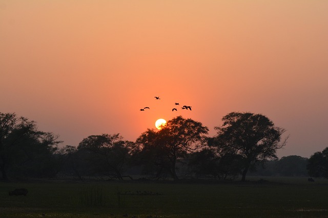 Solnedgang, Natur, Skumring, Himmel