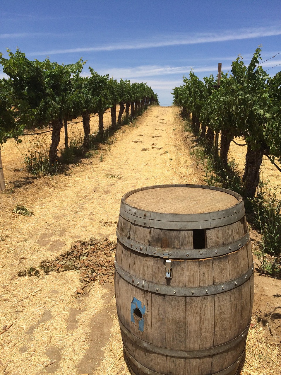 Baril Vin Vignoble Les - Photo gratuite sur Pixabay - Pixabay