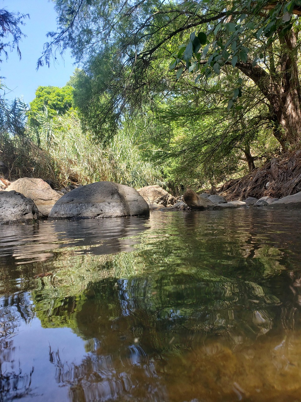 Agua Río Paisaje - Foto gratis en Pixabay - Pixabay