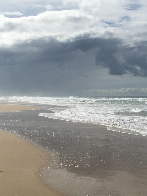 Free Ocean Sea photo and picture