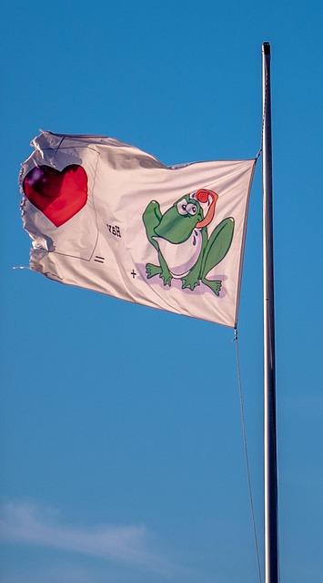 Free Flag Sky photo and picture
