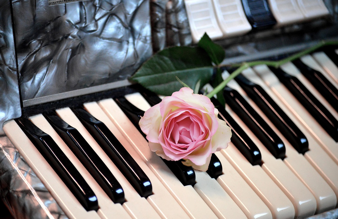 Accordion Schifferklavier Keyboard Free photo on Pixabay Pixabay