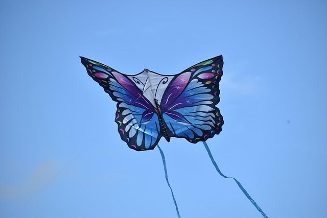 Cerf-Volant pour Enfants et Adultes, Cerfs-Volants Easy Flyer pour Cerf-Volant pour Enfants et Adultes, Cerfs-Volants Easy Flyer pour