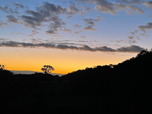 Free Sunrise Nature photo and picture
