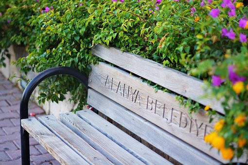 Free Bench Flowers photo and picture