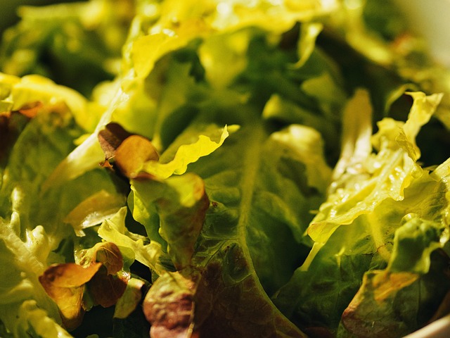 Salat, Bio, Øko, Lækker, Sund Og Rask