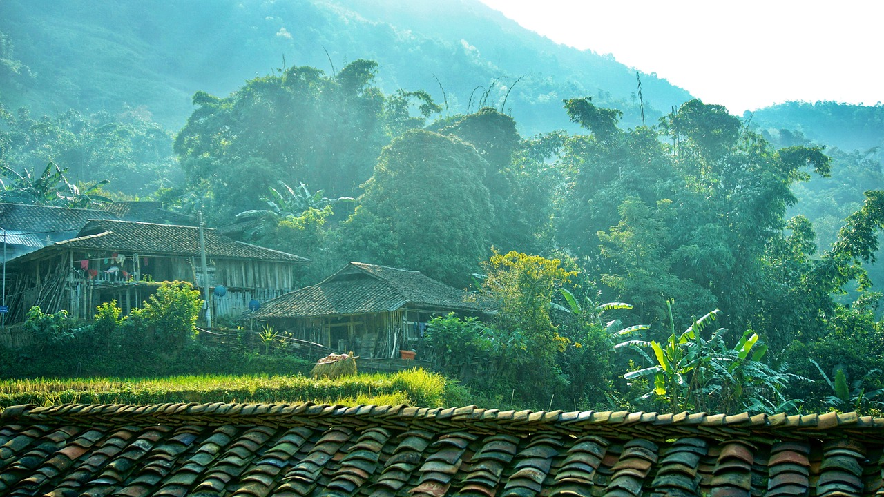 村庄 树 森林 - Pixabay上的免费照片 - Pixabay
