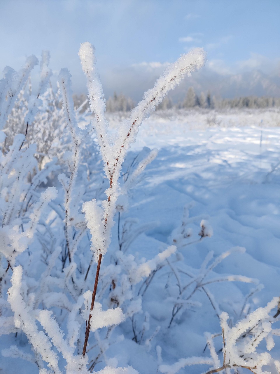 冬 雪 自然 - Pixabayの無料写真 - Pixabay